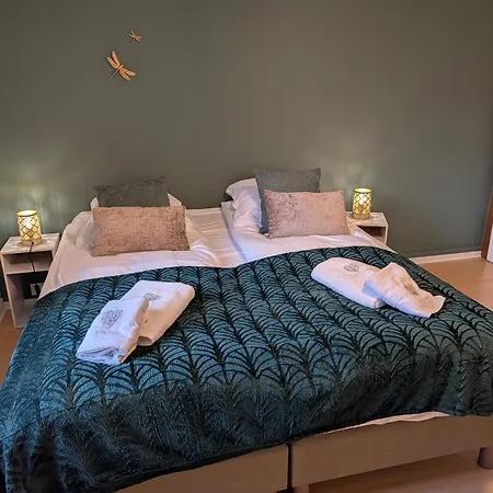 Ensemble De 4 Gites Mitoyens De 2 A 22 Personnes Kirrwiller