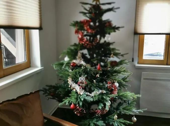 Apartment Bi D'grosseltere De Charme Kirrwiller